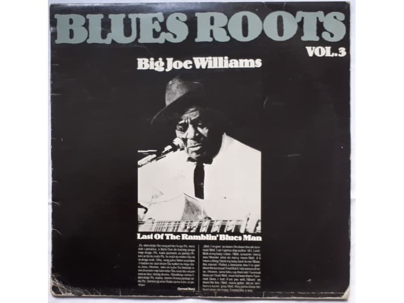 BIG JOE WILLIAMS — Last of the ramblin`blues man