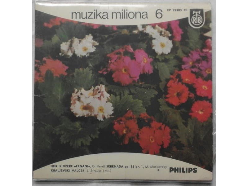 VARIOUS — MUZIKA MILIONA 6