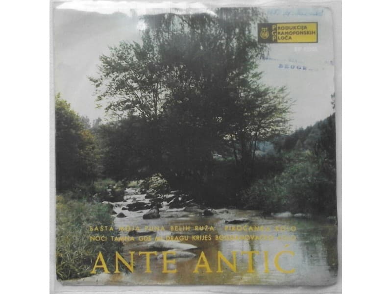 ANTE ANTIC — BASTA MOJA PUNA BELIH RUZA