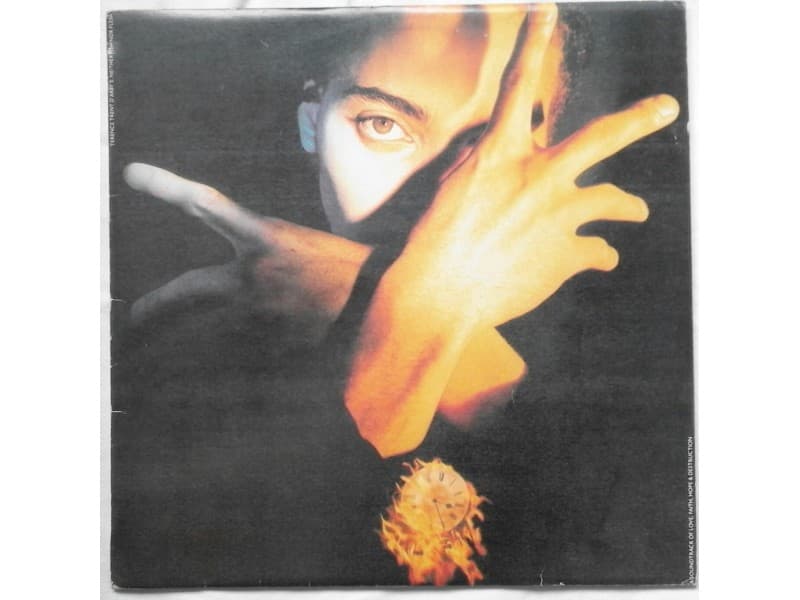 Terence Trent D`Arby — Neither fish nor flesh