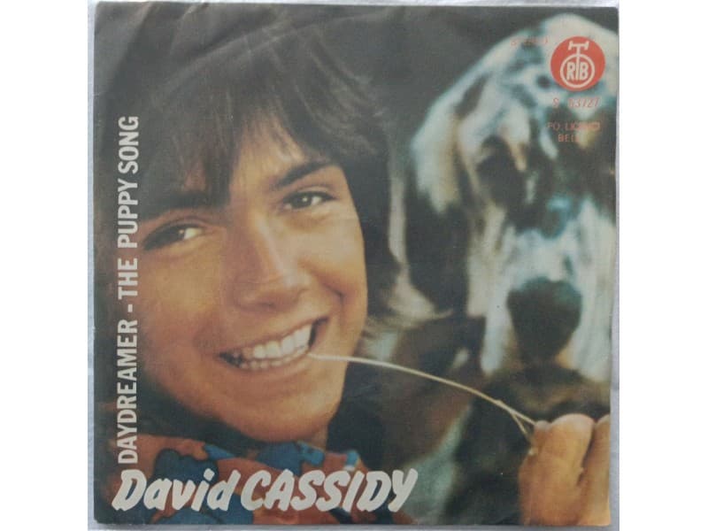 DAVID CASSIDY — DAYDREAMER