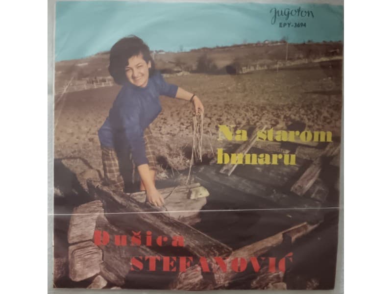 DUSICA STEFANOIC — NA STAROM BUNARU