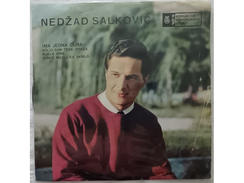 NEDZAD SALKOVIC — IMA JEDNA CURA...