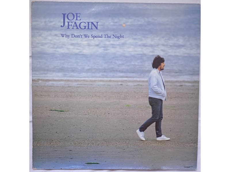 JOE FAGIN — WHY DON`T WE SPEND THE NIGHT