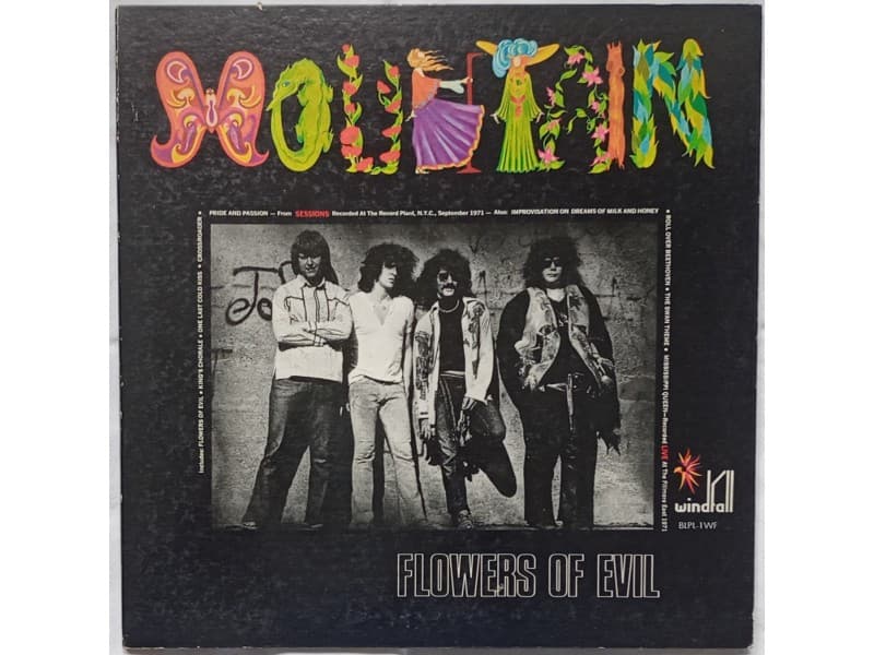 MOUNTAIN — FLOWERS OF EVIL (Japan Press)