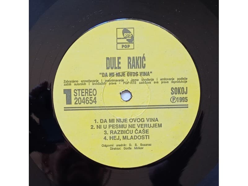 DULE RAKIC — DA MI NIJE OVOG VINA