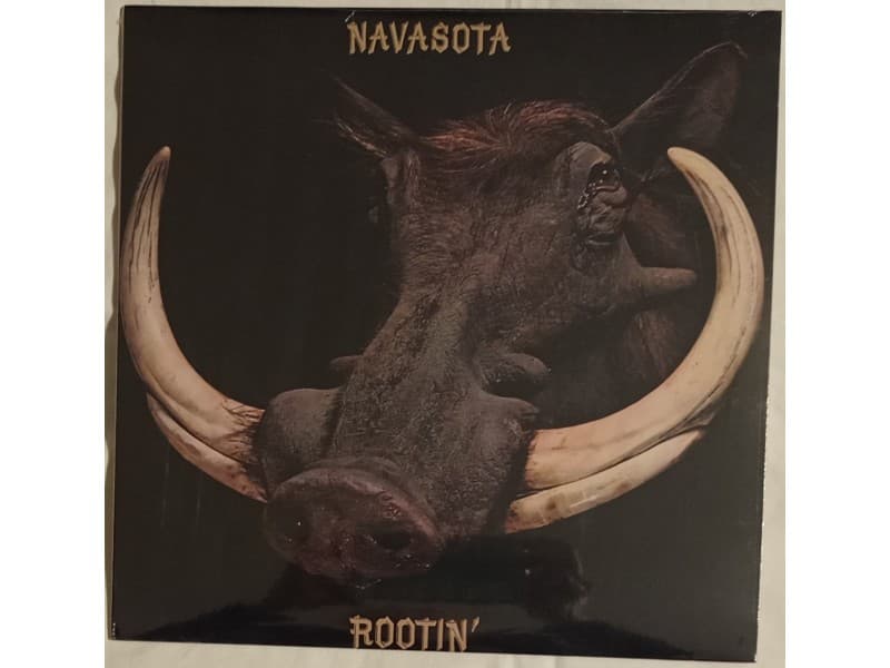 NAVASOTA — ROOTIN` ( Mint !!!)