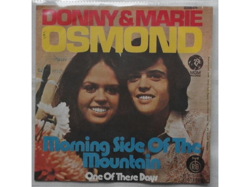 Donny & Marie Osmond — Morning side of the mountain
