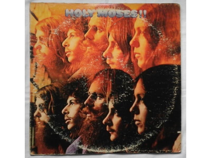 HOLY MOSES — HOLY MOSES ( USA Press )