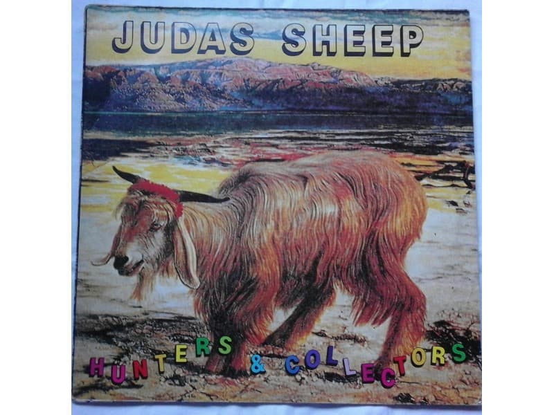 HUNTERS & COLLECTORS — JUDAS SHEEP