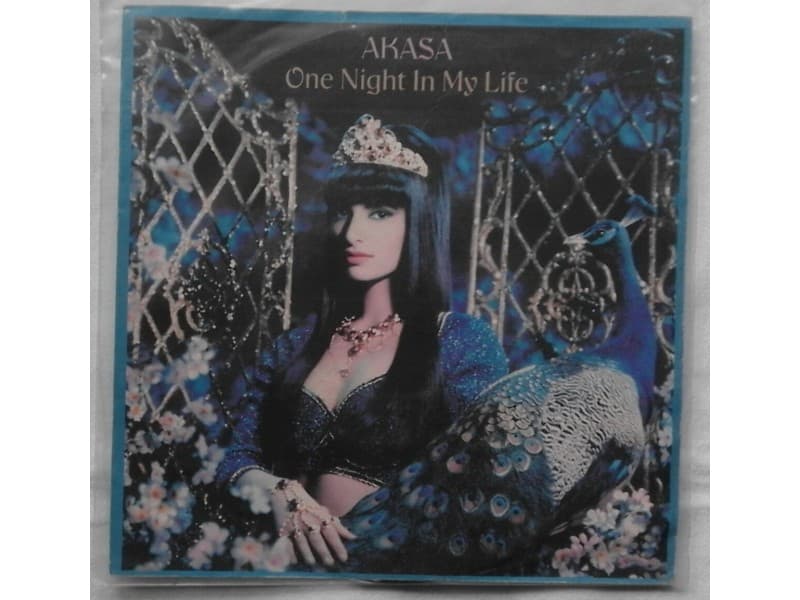 AKASA — ONE NIGHT IN MY LIFE