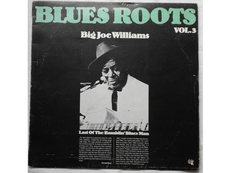 BIG JOE WILLIAMS — Last of the ramblin`blues man