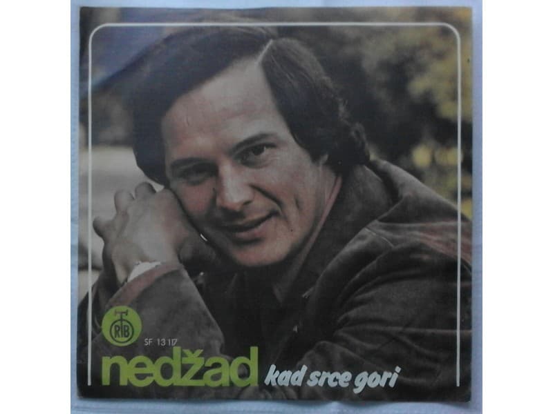 NEDZAD SALKOVIC — KAD SRCE GORI