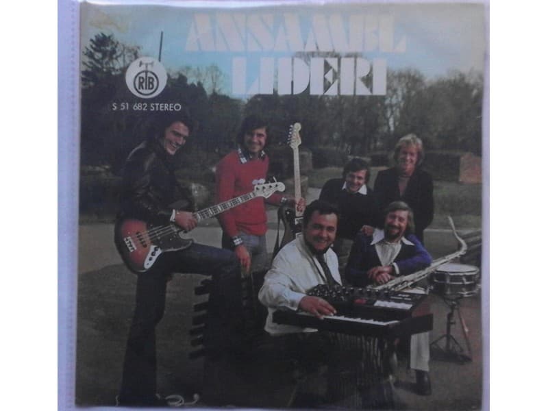 ANSAMBL LIDERI — MORE / SVIRAJ HARMONIKO