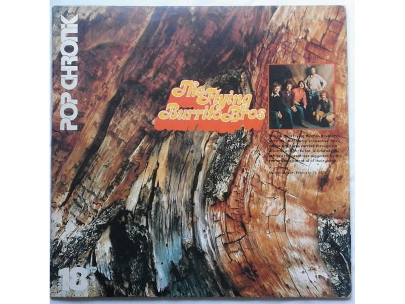 FLYING BURRITO BROS. — 2LP POP CHRONIK