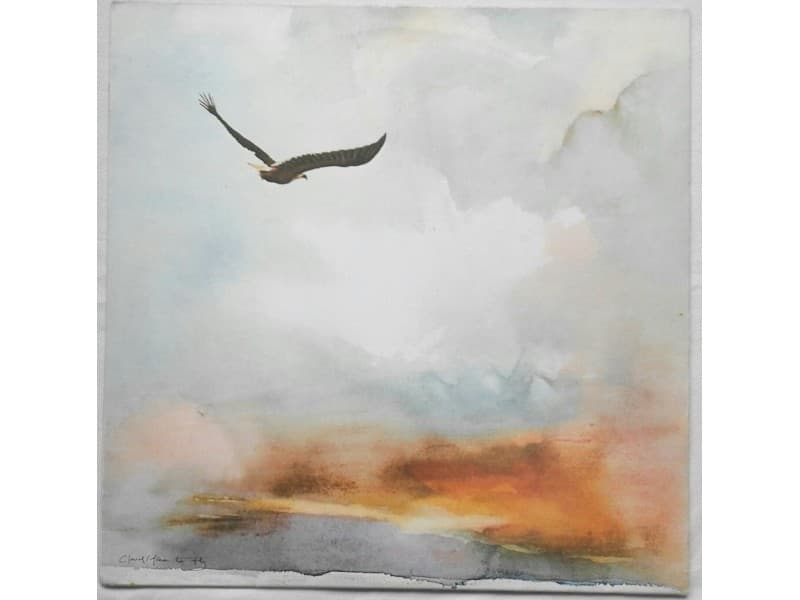 CLOUD — FREE TO FLY ( ENGLAND PRESS)