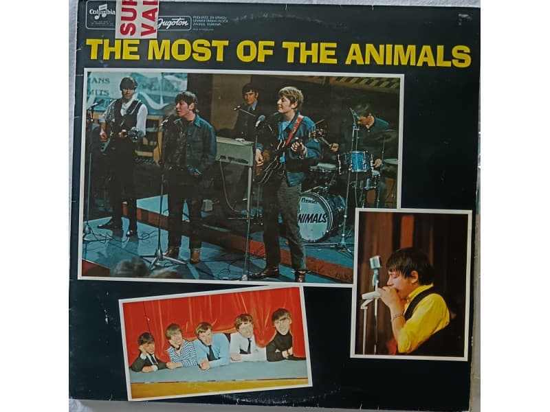 ANIMALS — THE MOST OF THE ANIMALS