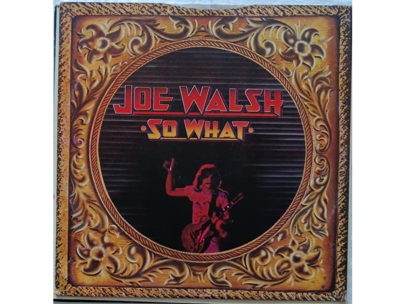 JOE WALSH — SO WHAT