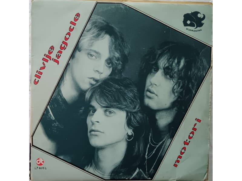 DIVLJE JAGODE — MOTORI