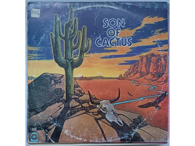 THE NEW CACTUS BAND — SON OF CACTUS