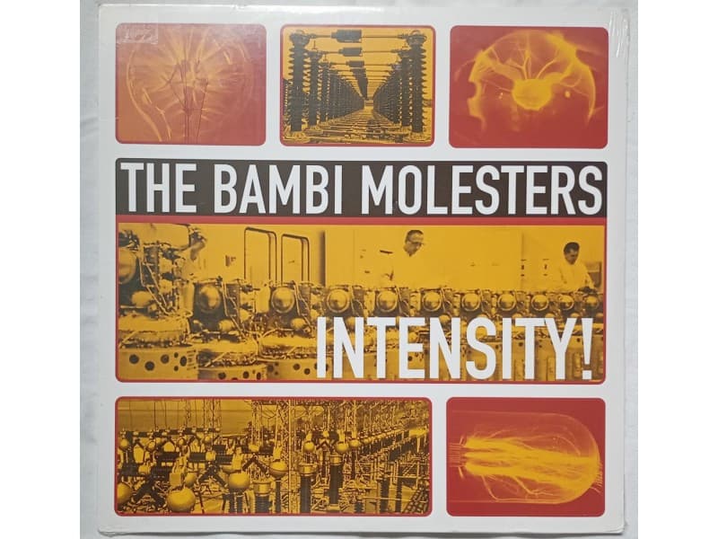 THE BAMBI MOLESTERS — INTENSITY (Novo !!!)
